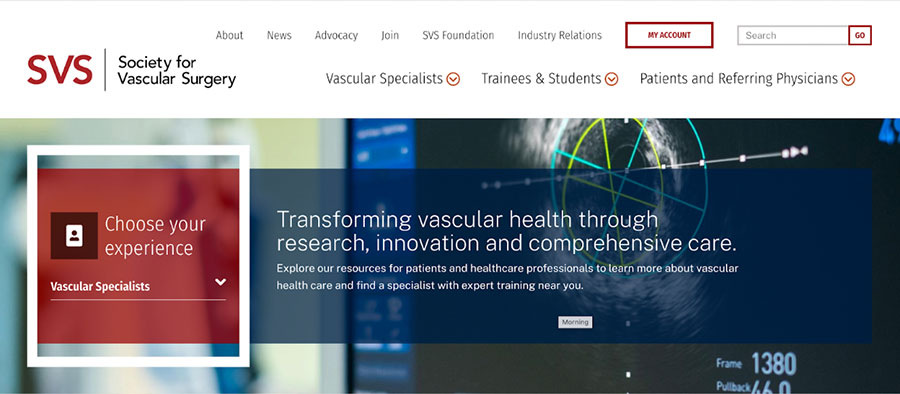 SVS homepage screenshot showing go button at top right within search field